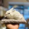 Adorable Plush Rabbet Dashboard Ornaments | Cute & Fun Car Decoration